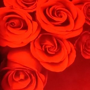 Meet your Posher, Leslie